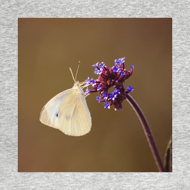 Flower with Butterfly by cinema4design